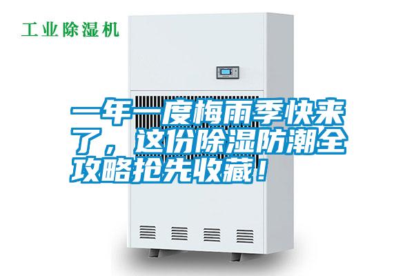 一年一度梅雨季快來了，這份除濕防潮全攻略搶先收藏！