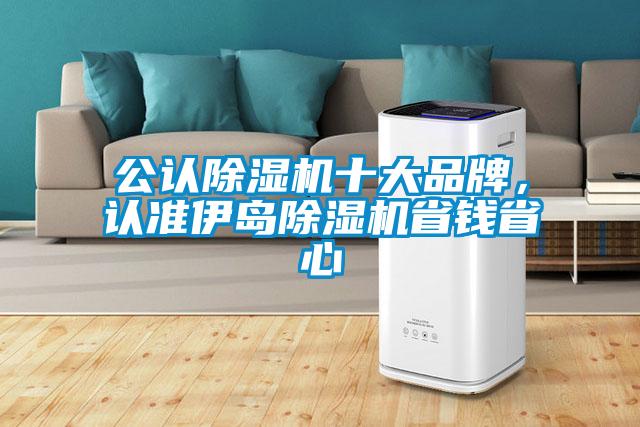 公認除濕機十大品牌，認準(zhǔn)伊島除濕機省錢省心