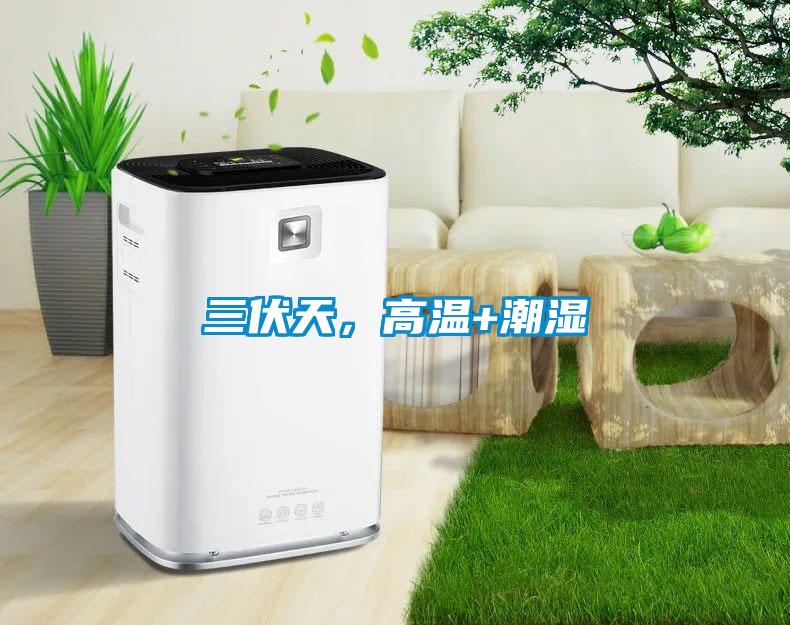 三伏天，高溫+潮濕