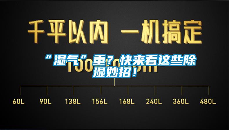 “濕氣”重？快來看這些除濕妙招！