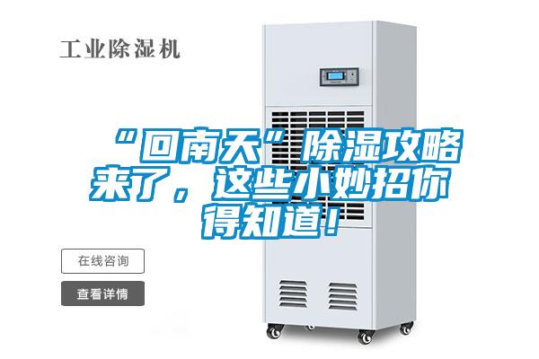 “回南天”除濕攻略來(lái)了，這些小妙招你得知道！