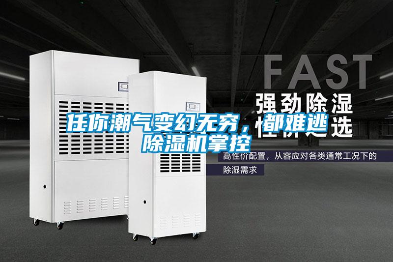 任你潮氣變幻無窮，都難逃除濕機掌控