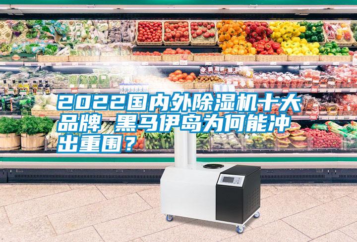 2022國內(nèi)外除濕機十大品牌 黑馬伊島為何能沖出重圍？