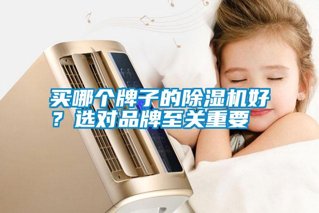 買哪個(gè)牌子的除濕機(jī)好？選對(duì)品牌至關(guān)重要