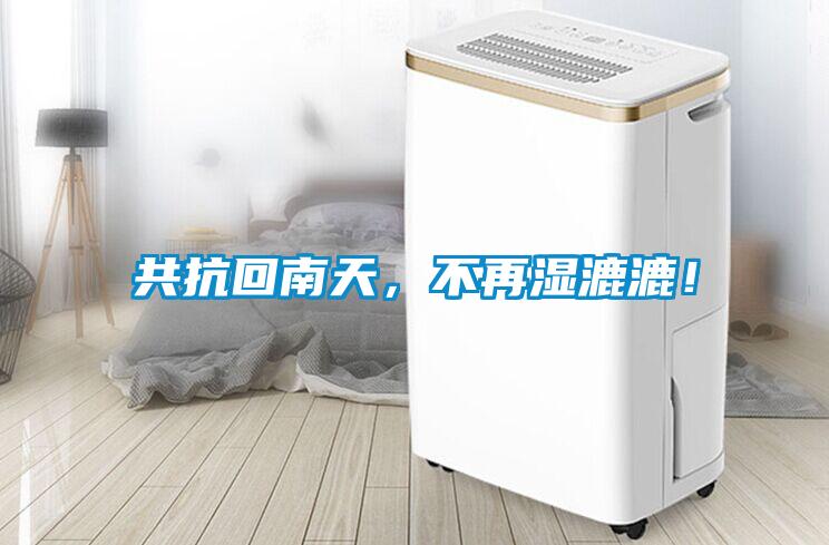 共抗回南天，不再濕漉漉！