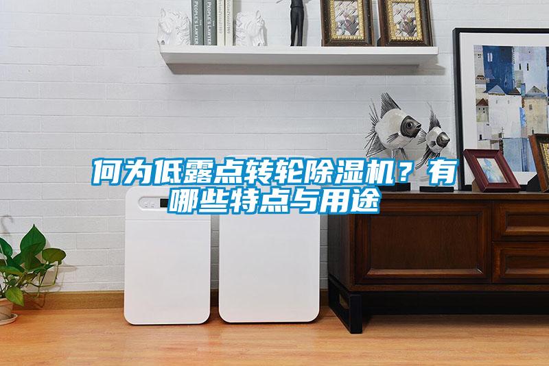 何為低露點轉(zhuǎn)輪除濕機？有哪些特點與用途
