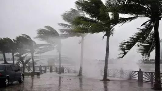 8月臺風(fēng)雨即將來，除濕機還得用起來