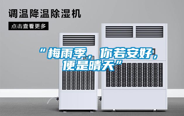 “梅雨季，你若安好，便是晴天”