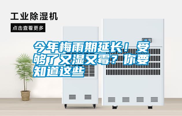 今年梅雨期延長！受夠了又濕又霉？你要知道這些
