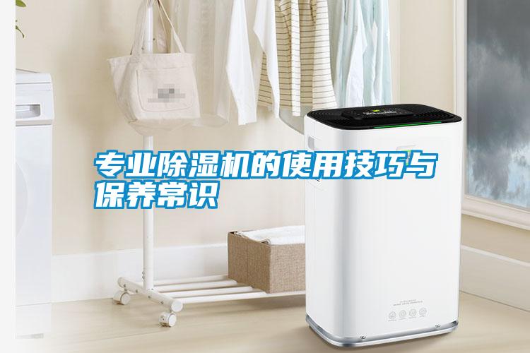 專業(yè)除濕機(jī)的使用技巧與保養(yǎng)常識