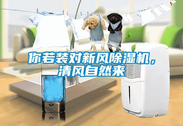 你若裝對新風除濕機，清風自然來