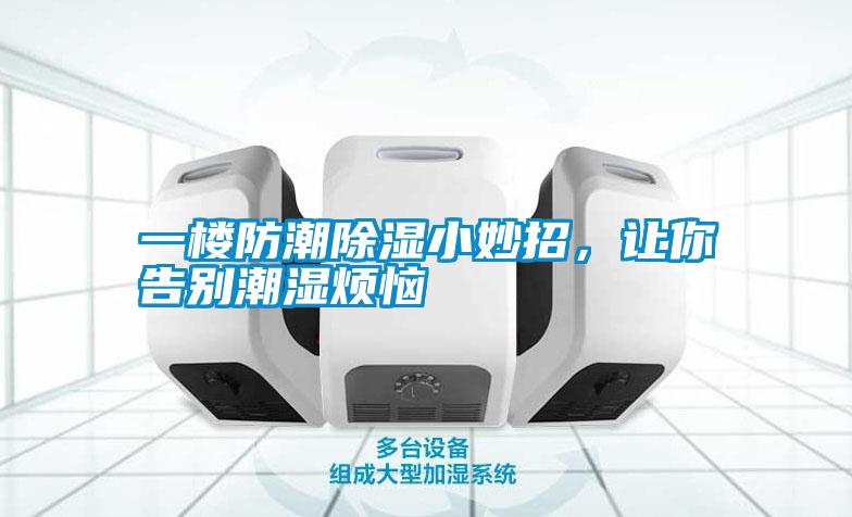 一樓防潮除濕小妙招，讓你告別潮濕煩惱