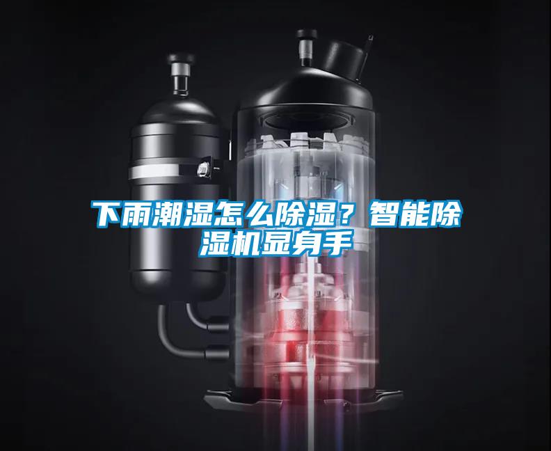 下雨潮濕怎么除濕？智能除濕機(jī)顯身手
