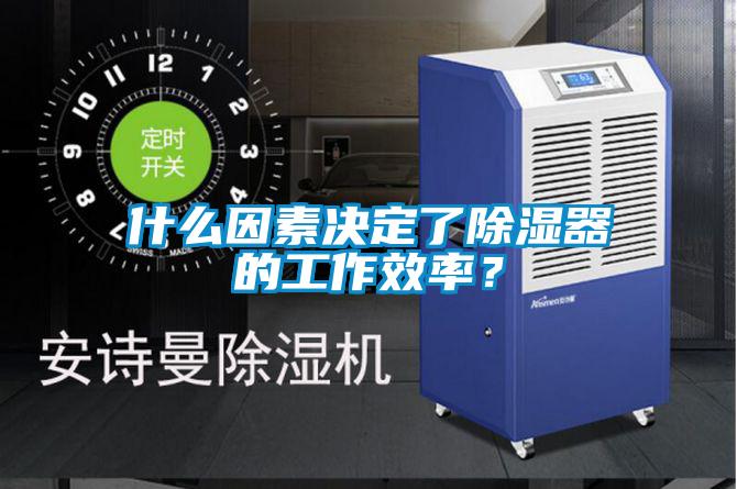 什么因素決定了除濕器的工作效率？