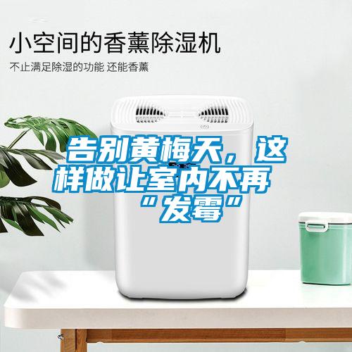 告別黃梅天，這樣做讓室內(nèi)不再“發(fā)霉”