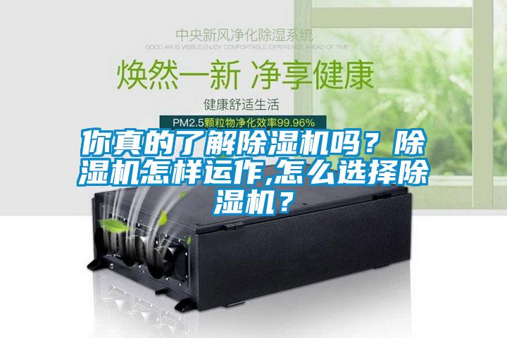 你真的了解除濕機(jī)嗎？除濕機(jī)怎樣運(yùn)作,怎么選擇除濕機(jī)？