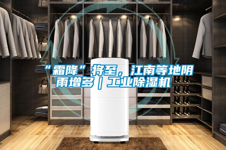 “霜降”將至，江南等地陰雨增多｜工業(yè)除濕機(jī)