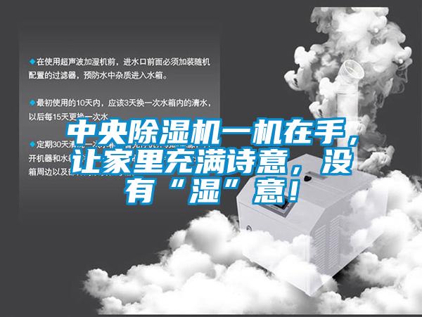 中央除濕機一機在手，讓家里充滿詩意，沒有“濕”意！