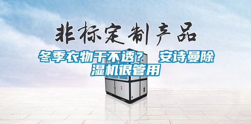 冬季衣物干不透？ 安詩曼除濕機很管用