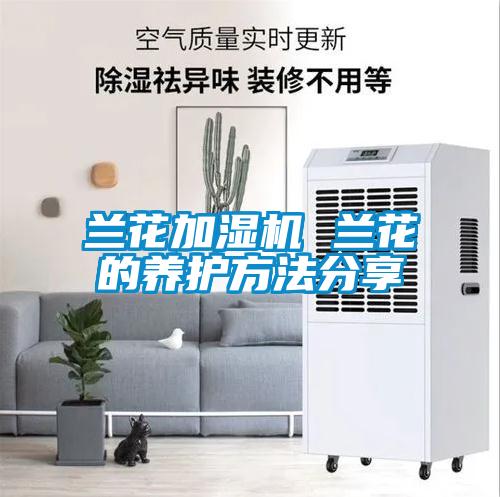蘭花加濕機 蘭花的養(yǎng)護方法分享