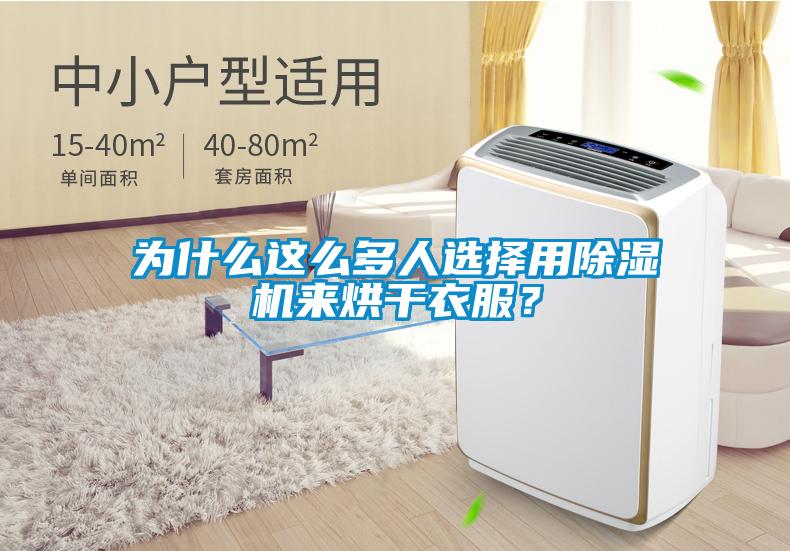 為什么這么多人選擇用除濕機(jī)來烘干衣服？