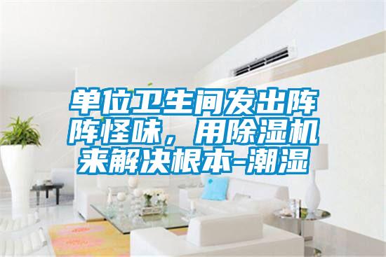 單位衛(wèi)生間發(fā)出陣陣怪味，用除濕機來解決根本-潮濕