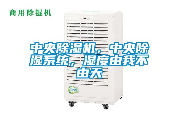 中央除濕機，中央除濕系統(tǒng)，濕度由我不由天