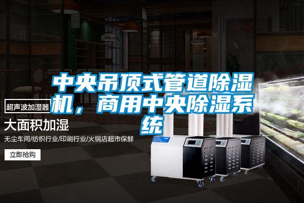 中央吊頂式管道除濕機(jī)，商用中央除濕系統(tǒng)