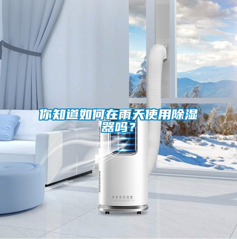 你知道如何在雨天使用除濕器嗎？