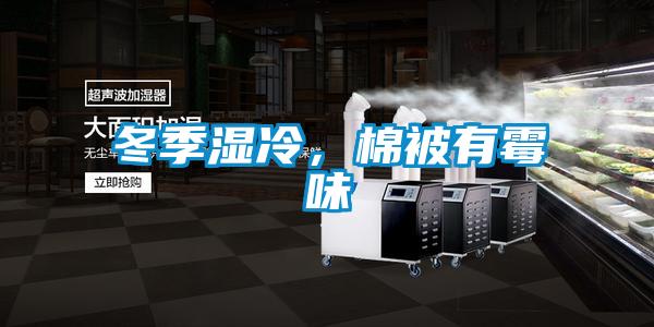 冬季濕冷，棉被有霉味