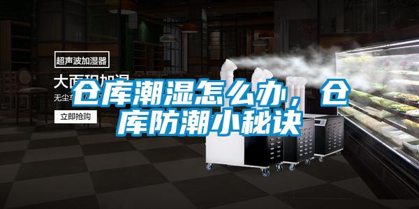 倉庫潮濕怎么辦，倉庫防潮小秘訣