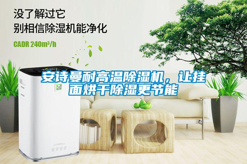 安詩曼耐高溫除濕機(jī)，讓掛面烘干除濕更節(jié)能