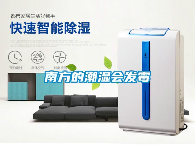 南方的潮濕會發(fā)霉