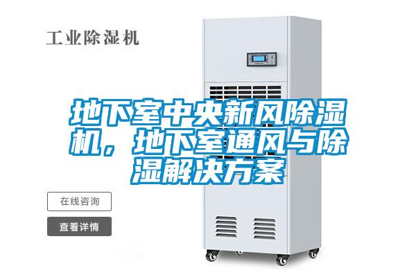 地下室中央新風(fēng)除濕機(jī)，地下室通風(fēng)與除濕解決方案