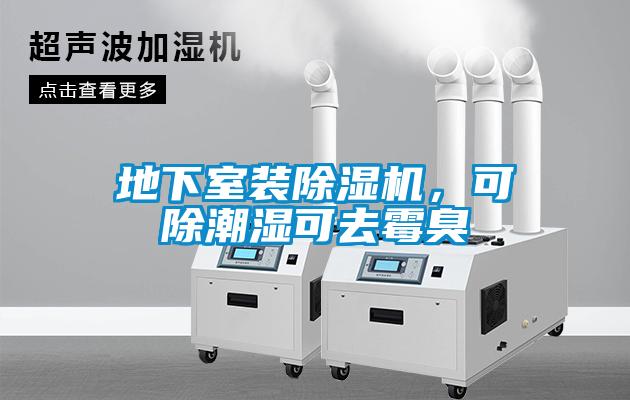 地下室裝除濕機(jī)，可除潮濕可去霉臭