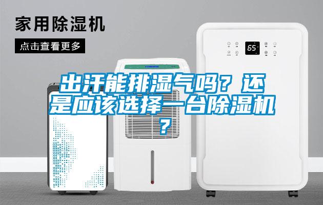 出汗能排濕氣嗎？還是應(yīng)該選擇一臺除濕機(jī)？