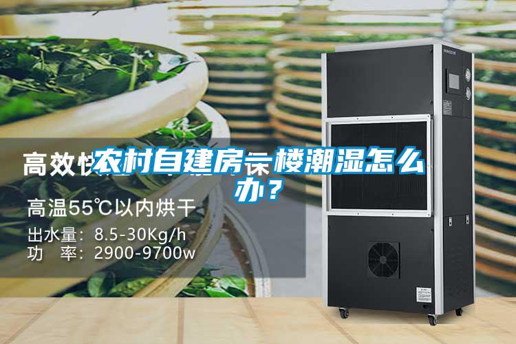 農(nóng)村自建房一樓潮濕怎么辦？