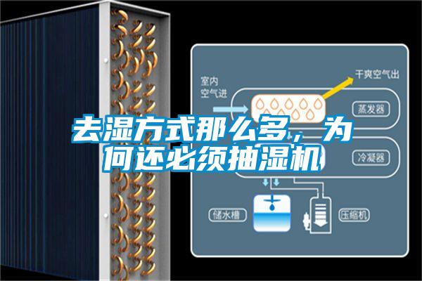 去濕方式那么多，為何還必須抽濕機