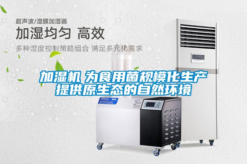 加濕機(jī)　為食用菌規(guī)模化生產(chǎn)提供原生態(tài)的自然環(huán)境