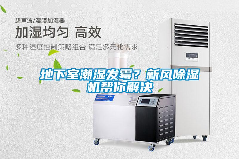 地下室潮濕發(fā)霉？新風(fēng)除濕機(jī)幫你解決