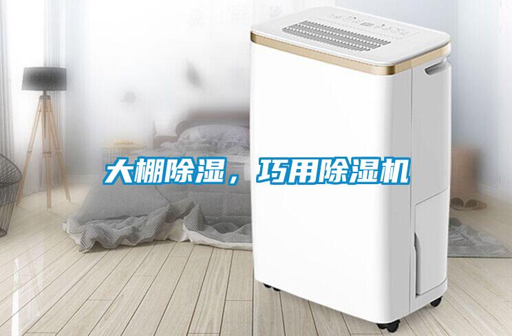 大棚除濕，巧用除濕機(jī)