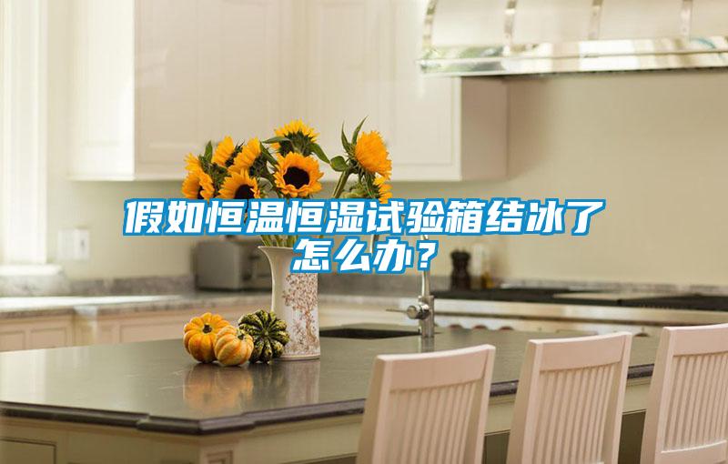 假如恒溫恒濕試驗箱結(jié)冰了怎么辦?