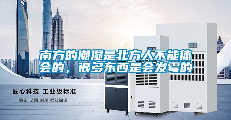 南方的潮濕是北方人不能體會(huì)的，很多東西是會(huì)發(fā)霉的