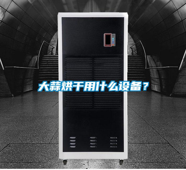 大蒜烘干用什么設(shè)備？