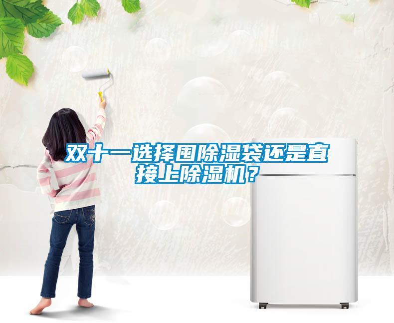 雙十一選擇囤除濕袋還是直接上除濕機(jī)？