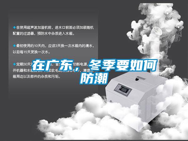 在廣東，冬季要如何防潮