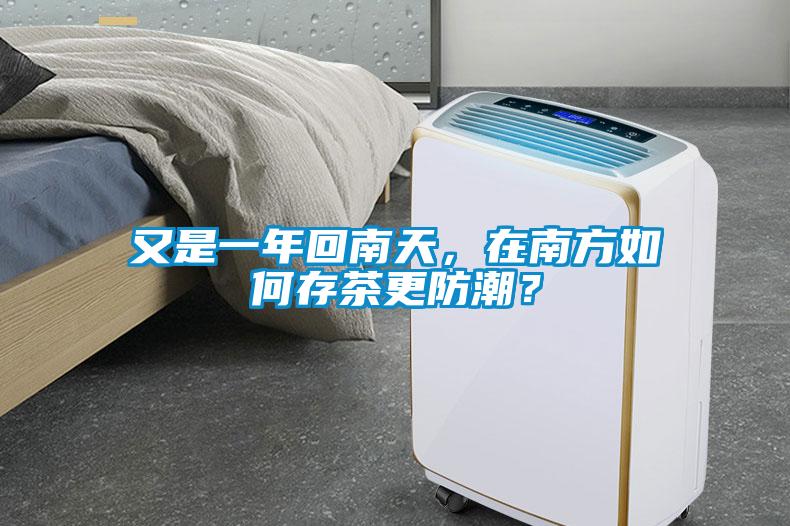 又是一年回南天，在南方如何存茶更防潮？