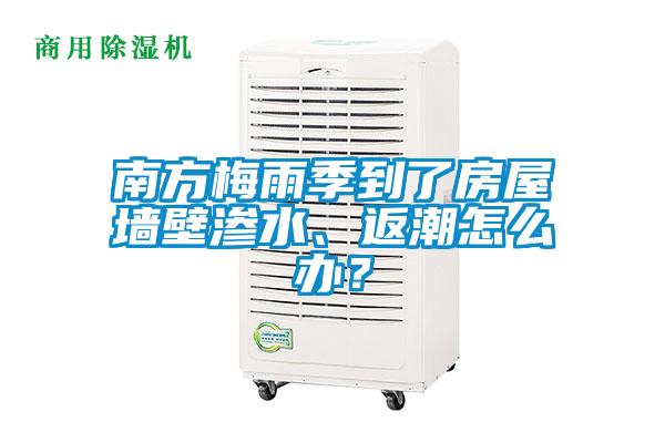 南方梅雨季到了房屋墻壁滲水、返潮怎么辦？