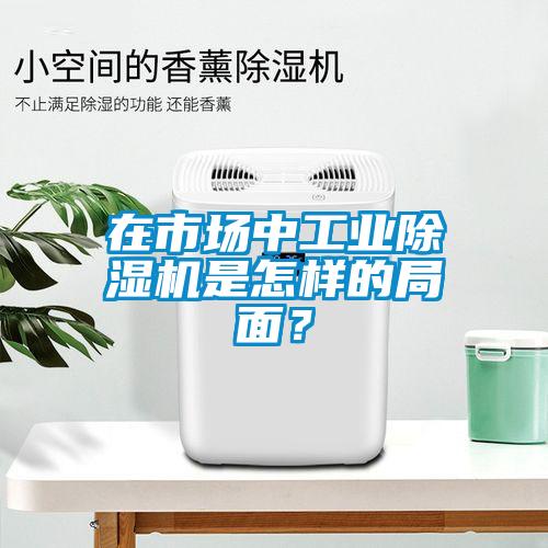 在市場中工業(yè)除濕機是怎樣的局面？