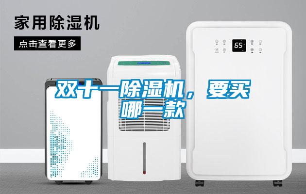 雙十一除濕機(jī)，要買(mǎi)哪一款
